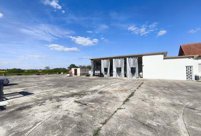 Casa cu 4 camere cu teren de 14,340 mp + platforma de beton cu hala - 10