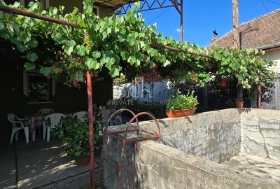 Casa de vanzare, 360 Mp teren, zona centrala, Sighisoara - 22