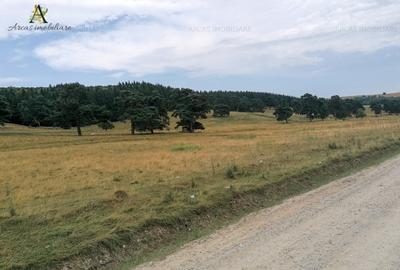 Teren intravilan in Valea Mare