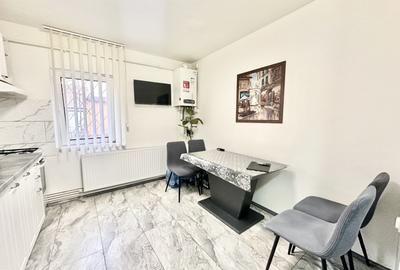 Apartament cu 2 camere - mobilat si utilat - pozitie excelenta - zona Dambovita - 6