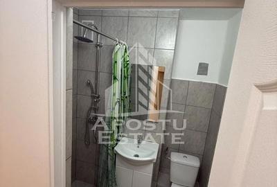 Apartament cu 2 camere de inchiriat, zona Sagului, Timisoara - 6