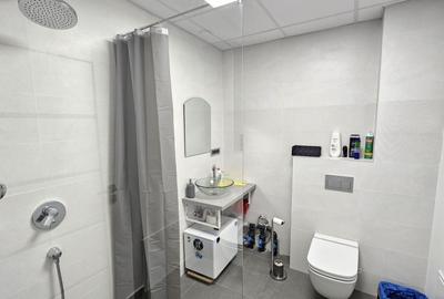 Spațiu comercial ideal cabinete, salon, finisat, inceput de Borhanci - 11