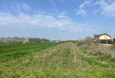 Adunatii Copaceni Teren 4000m Intravilan Arabil