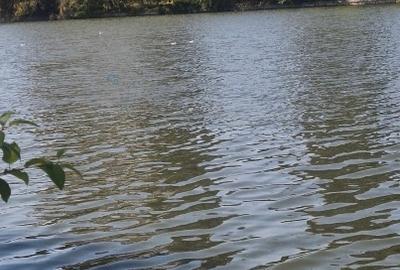 Vila excusivista P+1 cu vedere Lac Insula Toboc București sect.2 Finisaje premiu - 6