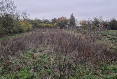 Casa si teren de vânzare - 4