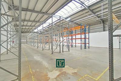 Hală industrială 824 mp de vânzare în Zona Industrială Sud Arad – acces rapid A1 - 14