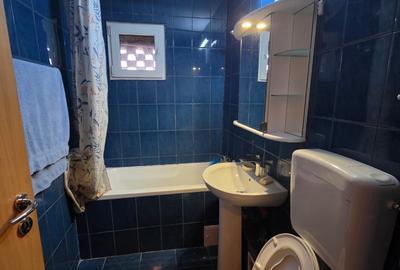 Piata Sudului, 10 minute metrou, Secuilor intersectie cu str. Mirea Luiza - 12