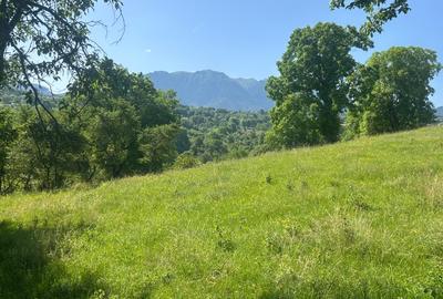 Teren Sohodol cu vedere catre M-tii Bucegi - 2