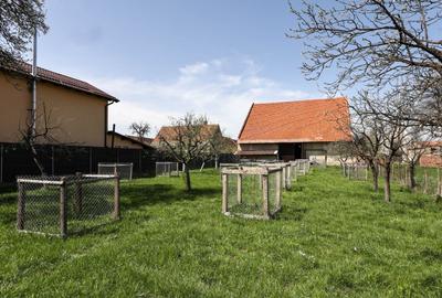 Casă Săsească Autentică cu Șură Impresionantă în Cristian – Teren 2729mp - 10