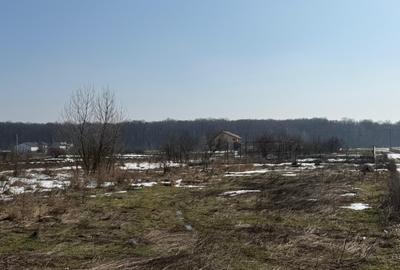 Domnești, teren langa pădure, 420mp, utilități,  deschidere 21ml, intravilan - 6