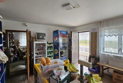 Casă / Vilă cu 900 teren intravilan, Salcea, Suceava - 18
