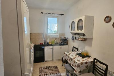 Casă individuală cu SAD, P+M, 2 apartamente, Timișoara, zona Lipovei, comision 0 - 11