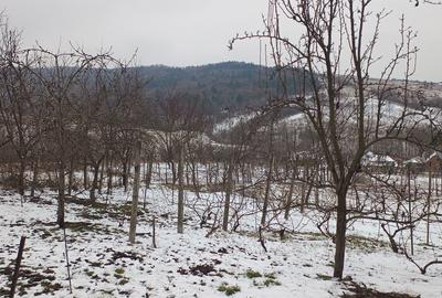 Teren intravilan 704 mp, acces asfaltat, priveliste Padurea Breazu - 1