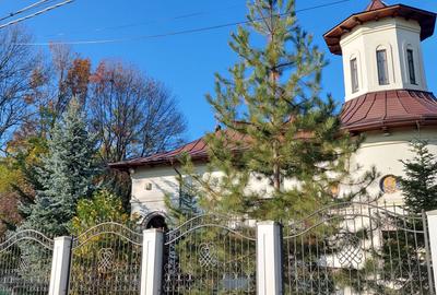TEREN INTRAVILAN, 1800 mp foarte aproape de Hornbach - 7