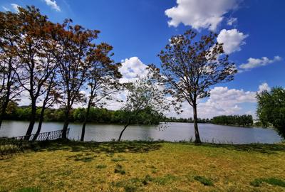 Vila moderna langa lac, mobilata complet - 2