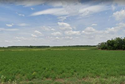 Teren agricol extravilan de 1090 mp, în Ampoița