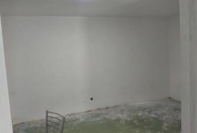 Garsoniera,Teiul Doamnei,Facultatea de Constructii,bl.reabilitat,et.3/10,Libera - 7