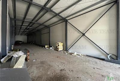 Spatiu comercial stradal, cu toate utilitatile stradal, la 100 m de A 1, pretabi - 20