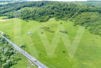Teren de vânzare – 4.000 mp la intrare in Bradu, județul Sibiu - 9