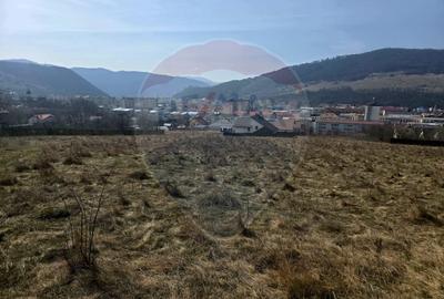 Teren 2,606mp Piatra-Neamt / Strada Orizontului - 6