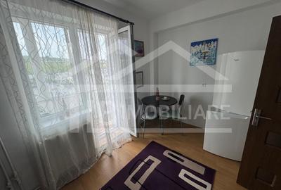 Apartament cu o camera, 40mp, petfriendly, Zona E.On - 5