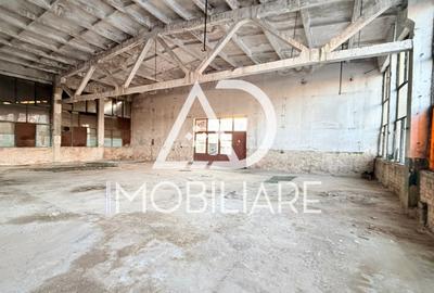 Spațiu comercial de închiriat – 1000 mp, Calea București - 4