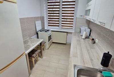 Inchiriere apartament 2 camere  etaj intermediar Tractorul- Goga - 10