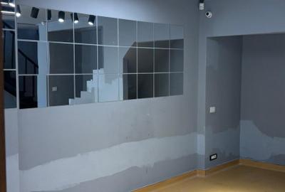 Spatiu comercial Bulebadrul Decebal - 2