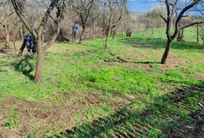 Casa de vacanta/locuit Arges - 9