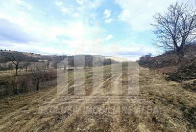 Teren intravilan | De vanzare | 12211 mp | Geogiu de Sus - 3