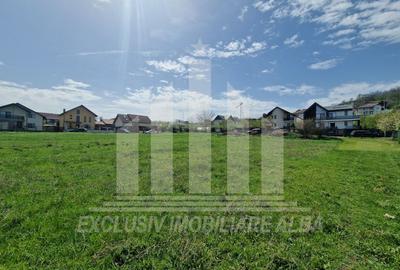 Teren intravilan | 1148 mp | 14.5 ml deschidere | Alba-Micesti - 3