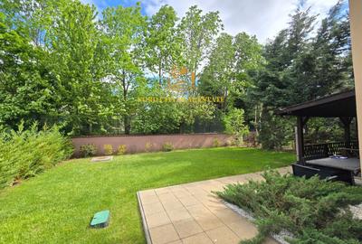Vila premium - Iancu Nicolae - Pipera - 19