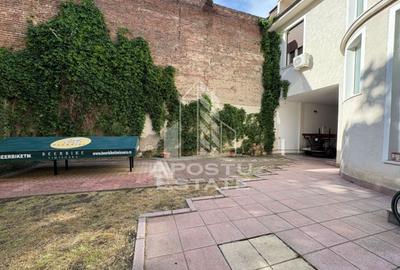 Vilă cu potențial comercial și rezidențial in zona Sinaia Timisoara - 2