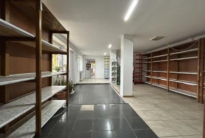 Casa P+1 din BCA ideala pentru o familie antreprenoare â Pecineaga - 15