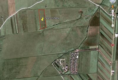 Investitie! 43.100 mp intravilan, 3 loturi, accesibil din str. Barsei, Stupini - 6