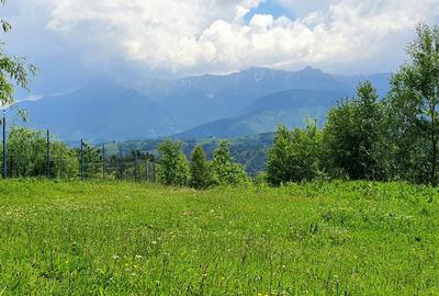 Teren pentru casa de vacanta , Pestera , Brasov - 1