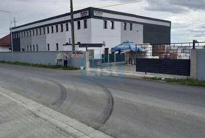 Spatiu industrial de vanzare, 8120 mp, Neamt - 10