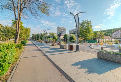 Spațiu versatil pentru business în Băile Felix - 10