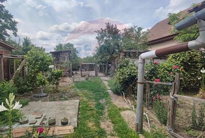 Casă cu 2 dormitoare si anexe gospodaresti de vanzare Cefa central - 11