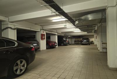 Ocazie! Penthouse 5 camere, 480 mp total - Herastrau! - 19