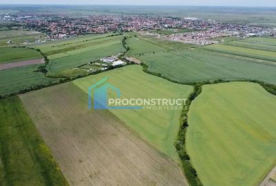 Teren agricol extravilan de 9990 mp, în Săcălaz