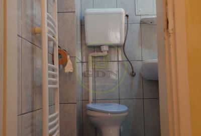 Casă Individuală de Închiriat – Lazaret / Lupeni – Garaj + Curte - 17