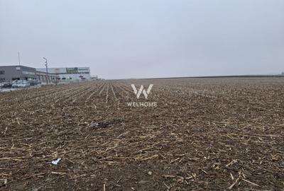 Teren industrial de vânzare , Sibiu– Zona Industrială Vest, 20.800 mp - 4
