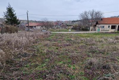 RECO Teren intravilan in Oncea, str. Prunilor - 4