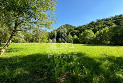 Teren de vanzare pe marginea raului, 1300mp, in Gros, Hunedoara - 1
