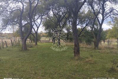 Teren Construcții intravilan de 1500 mp, în Mijlocenii Bârgăului