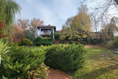 Vila lac snagov in cea mai buna portiune a lacului, ponton, garaj barca, piscina - 31