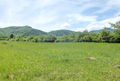 Teren Intravilan - Pretabil Investitie - 1