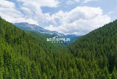 Teren intravilan | Moieciu de Sus | 12307 | PUZ - 24