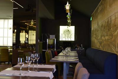 Casa/Vila | Restaurant | Terasa 120mp2 | Ultracentral - Rosetti - 6
